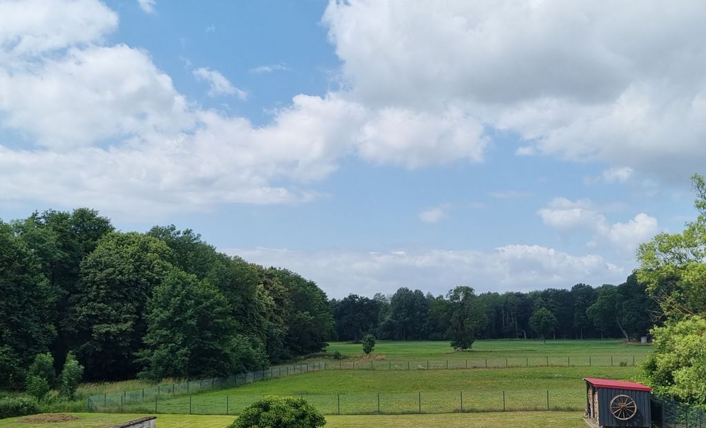 Ruhiger Stellplatz mit Naturblick & Sternenhimmel