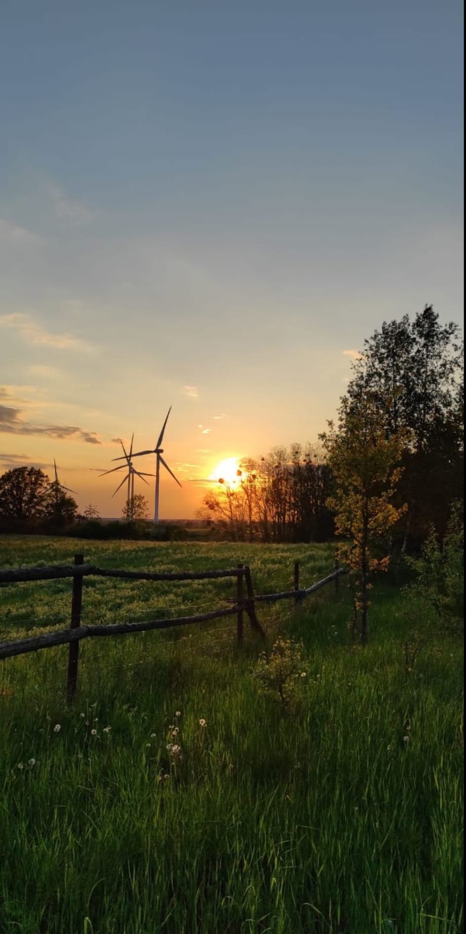 Stellplatz mit Blick in die Natur 