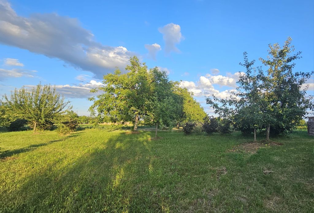 Small orchard meadow at the Kaiserstuhl