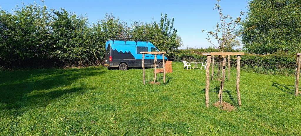 Emplacement dans le verger