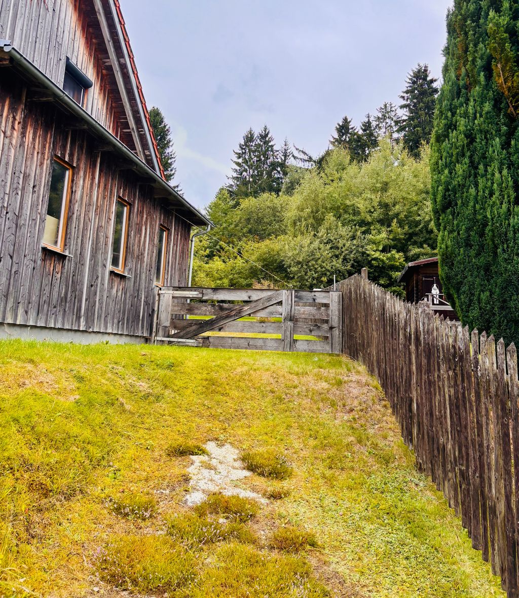 Pitch on the edge of the forest in a quiet residential area