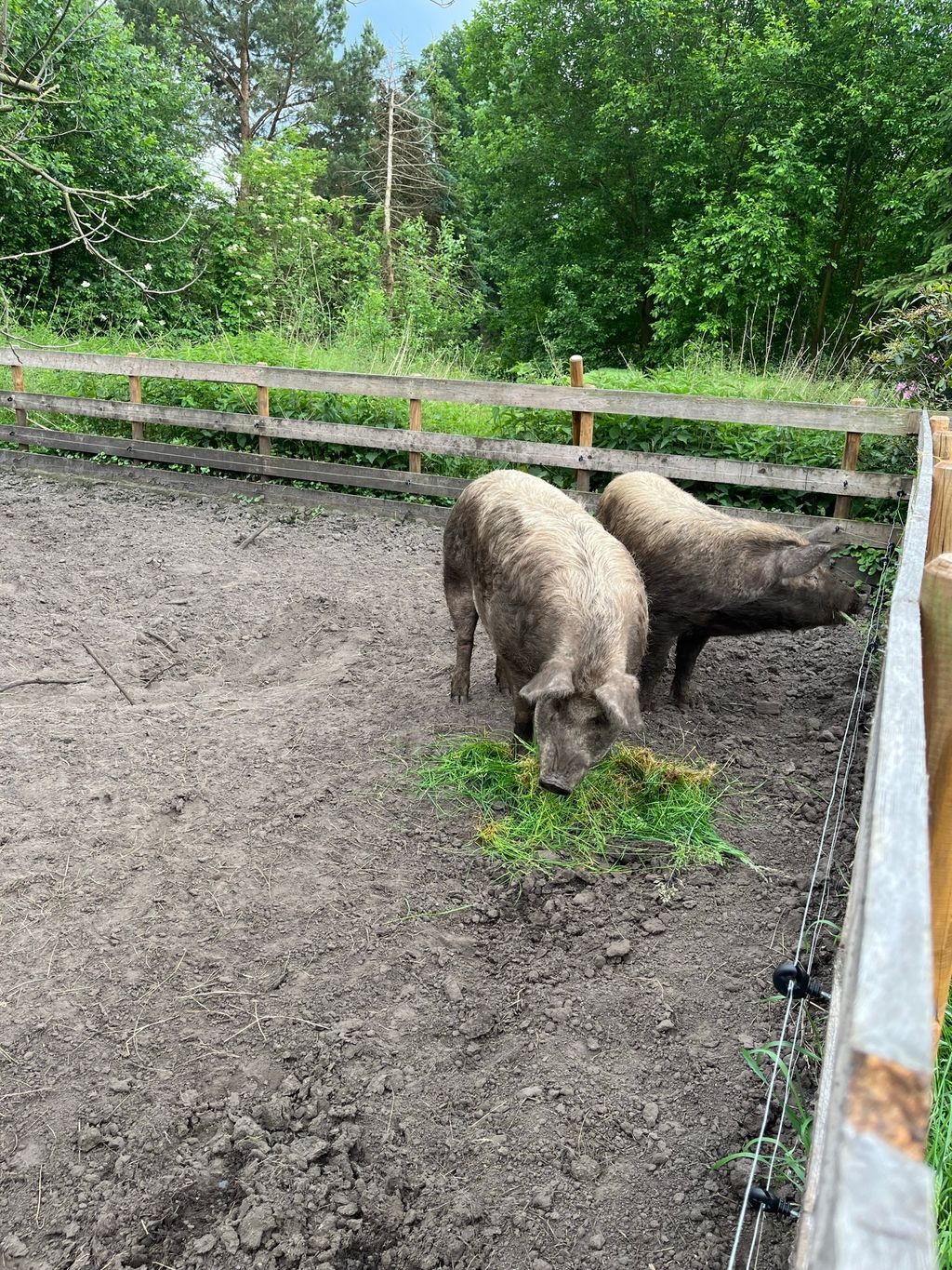 "The little Link Farm" on the Lüneburg Heath
