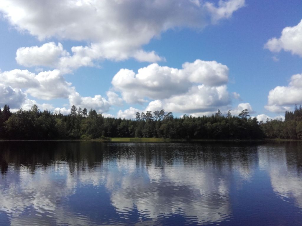 Piccola stuga/casa Rolig Räv in Svezia