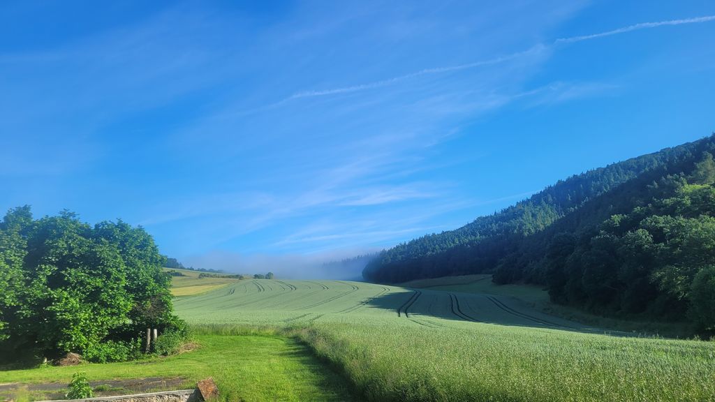 Vue de la maison depuis