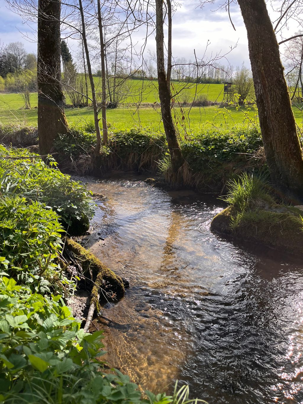 Camping directly by the stream in an idyllic secluded location