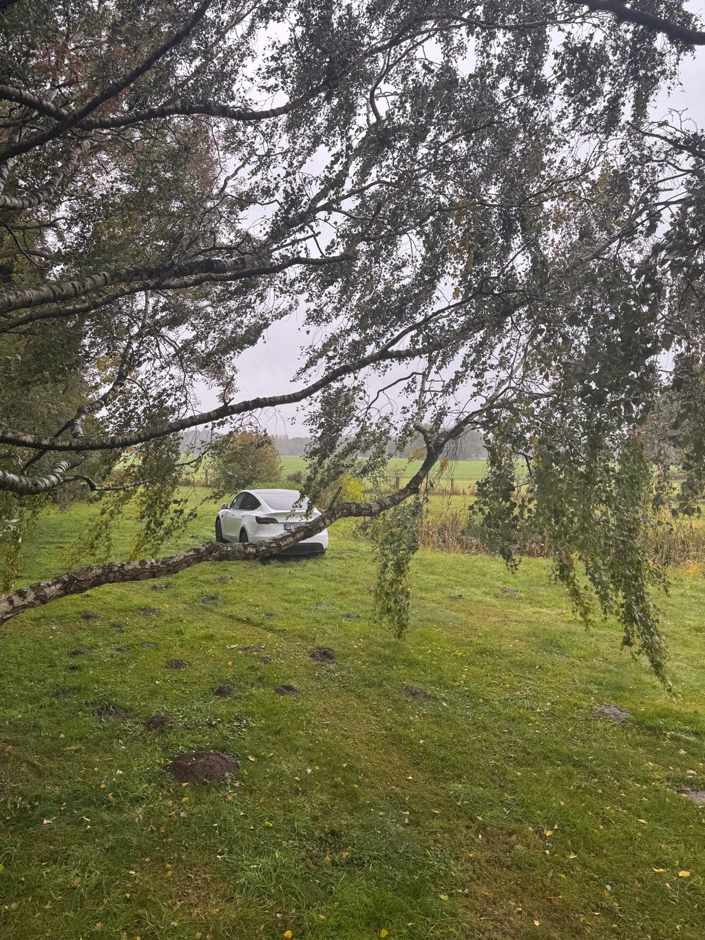 Une oasis de calme au bord du lac Steinhuder Meer - Emplacement isolé « Champ et étang »