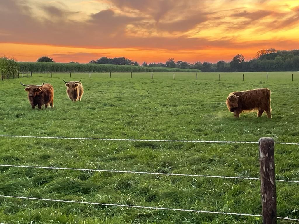 Un po' di tempo in campagna (piazzola singola)