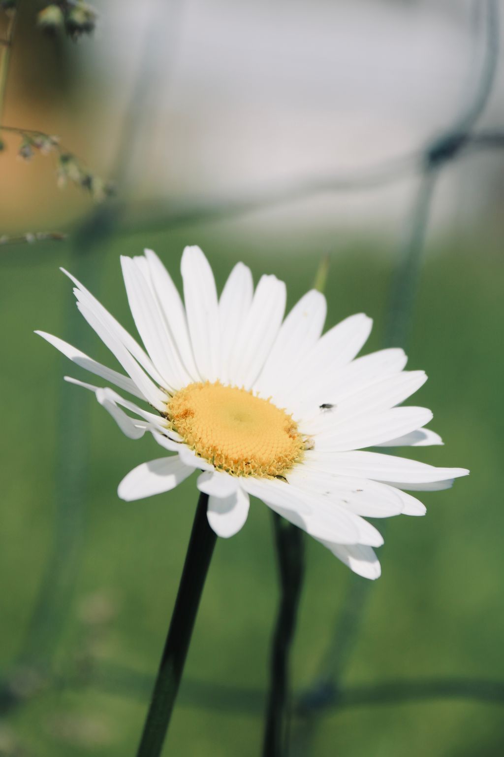Bienvenido al corazón de la Baja Franconia