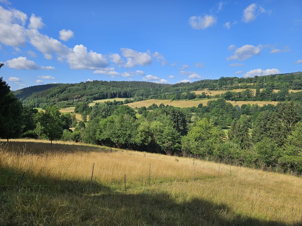 Grüne Wiese zwischen Rhön, Spessart und Vogelsberg