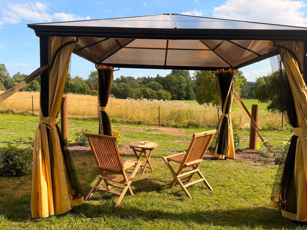 Gemütliches Camp unter den Birken