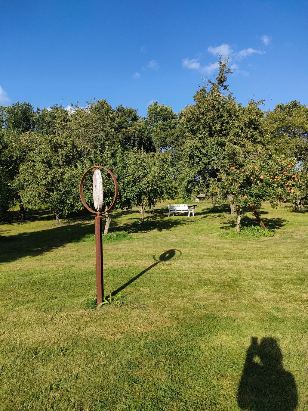 Natur, Kunst und Gemüse - Nahe Mariagerfjord