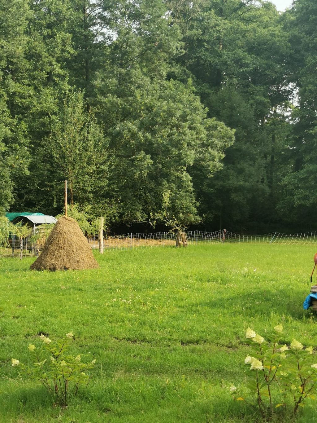 Campen im Spreewald - paddeln und angeln