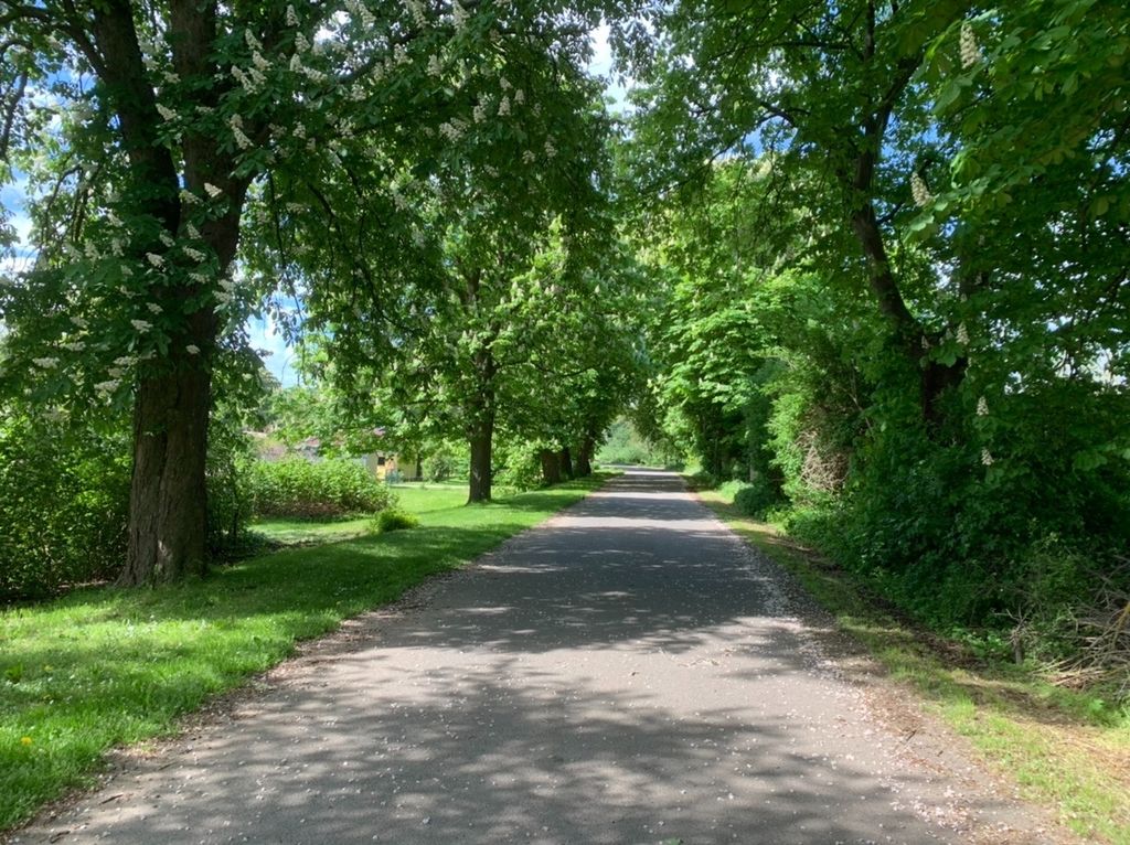 Friedenstal dans l'Oderbruch