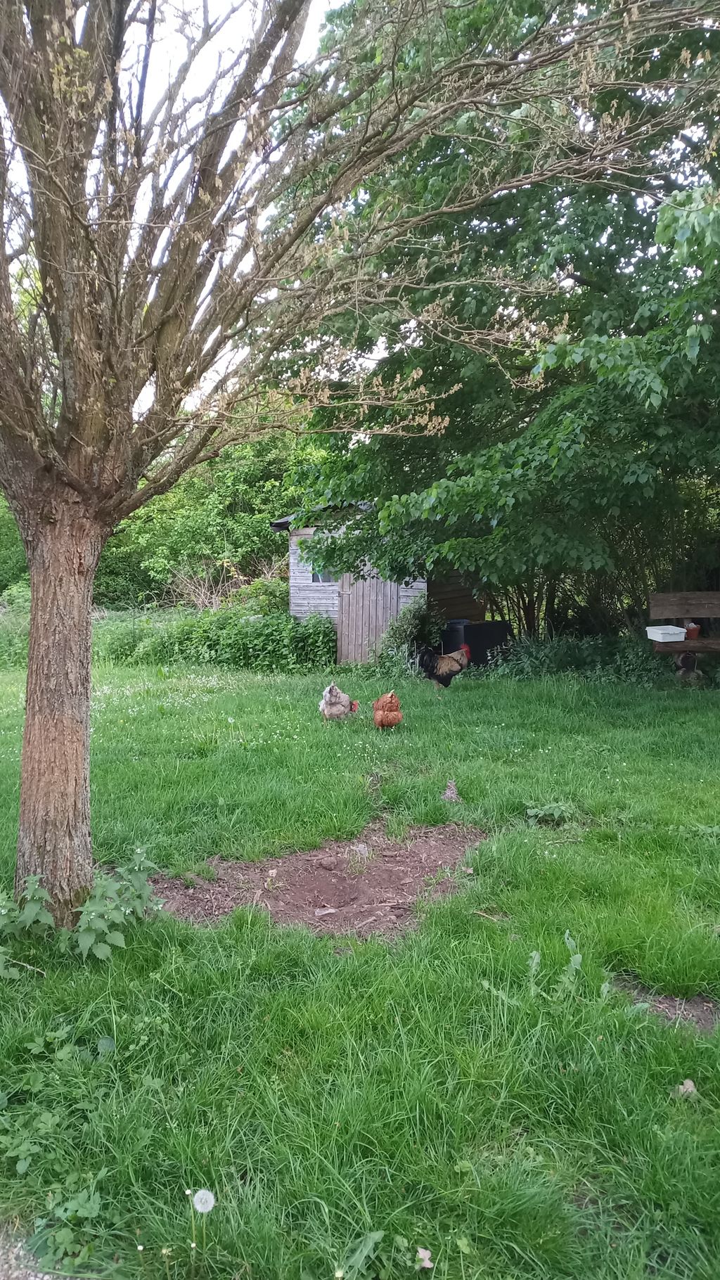 Camping auf dem Bauernhof in abgeschiedener Lage