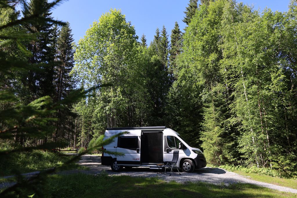 Naturplatz im Wald: Stille & Natur pur