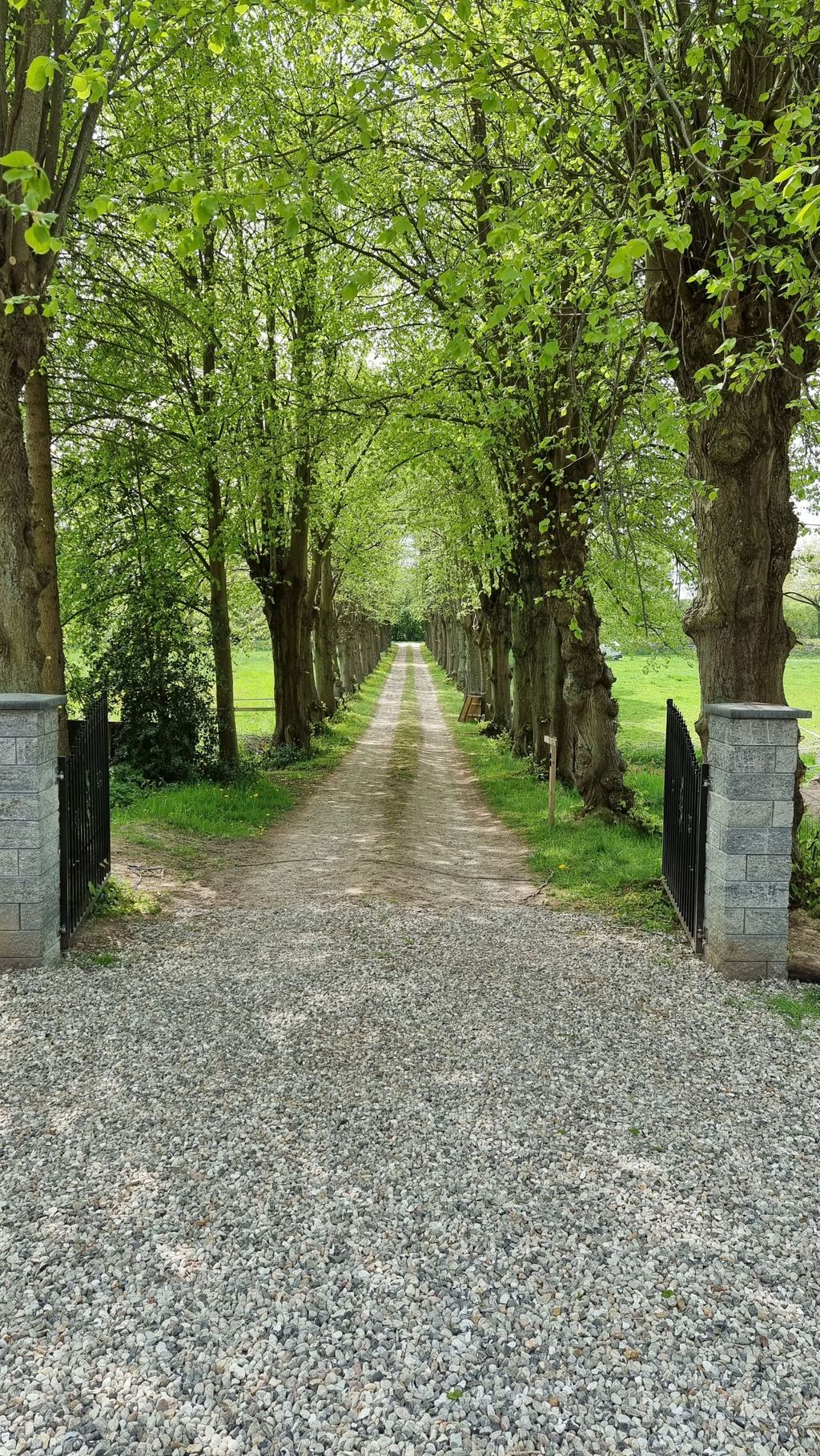 Idyllischer Platz auf dem Bauernhof an der Ostsee
