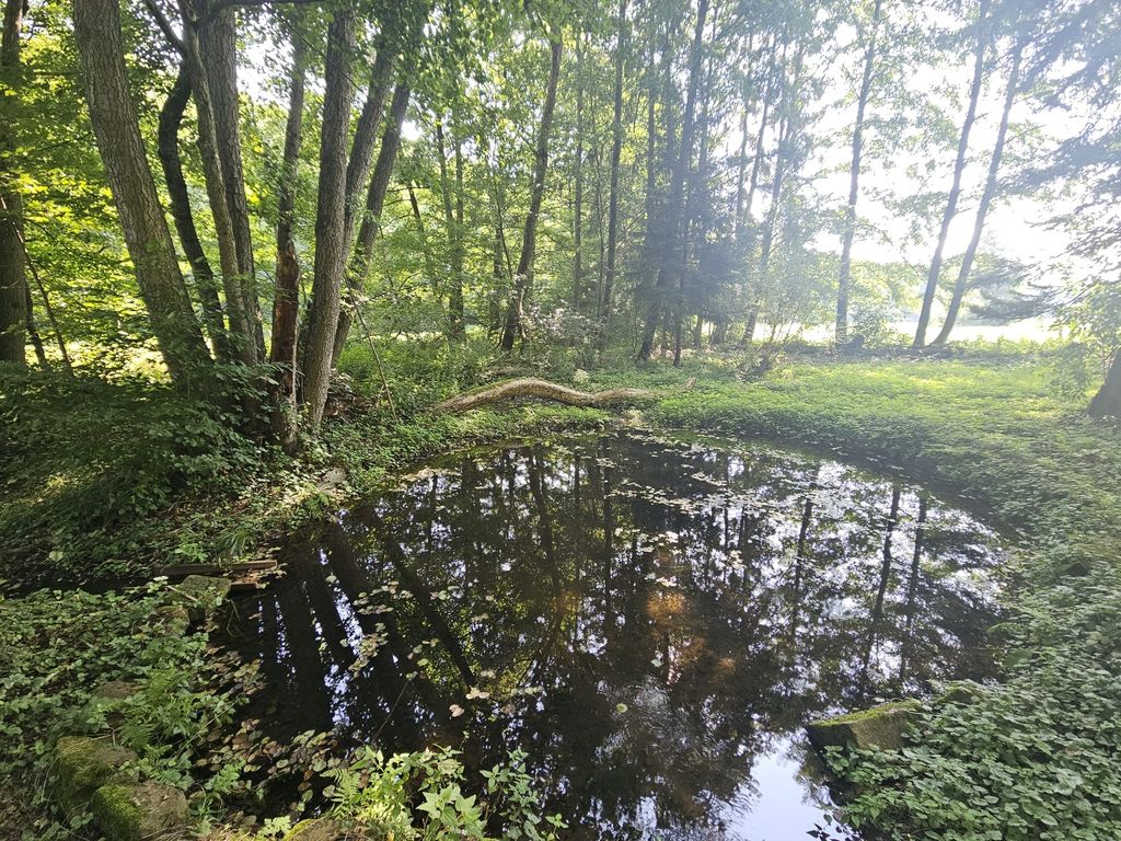 Idyllisches Fleckchen in unserem Wiesengrund