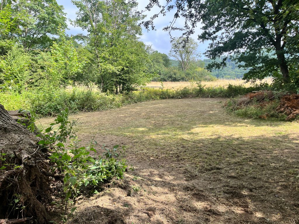Small clearing - forest pitch on the edge of the Westerwald