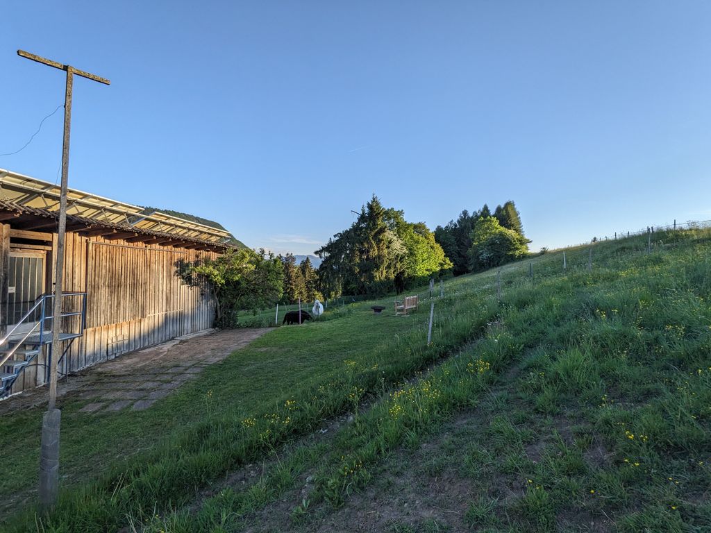Stellplatz auf dem Bauernhof bei den Pferden