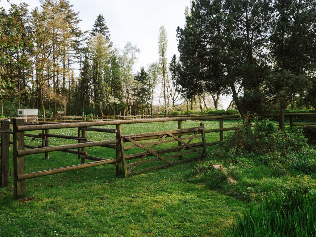 Un endroit calme et agréable à proximité de la forêt