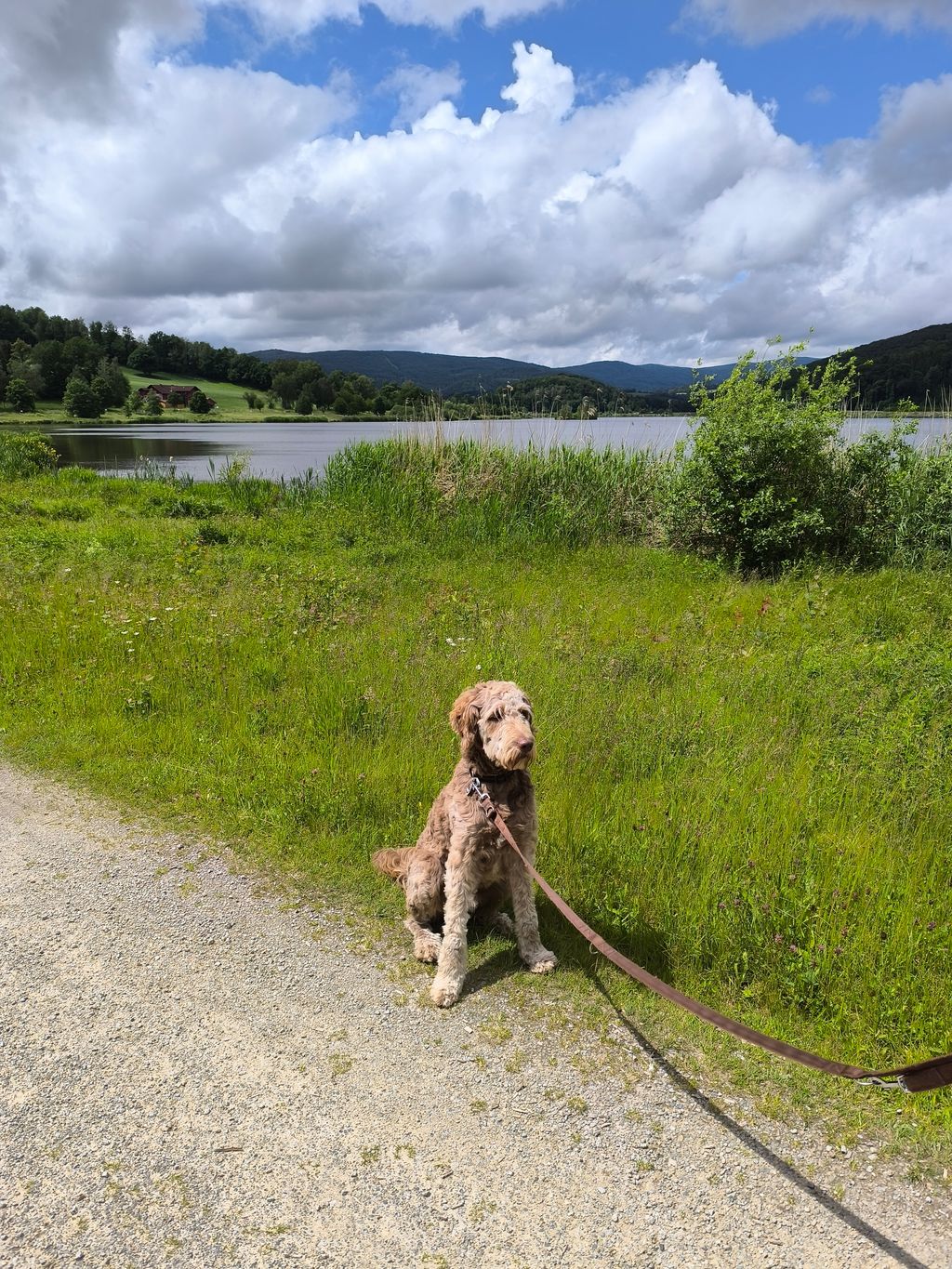 Piazzola con vista lontana su Cerchov (Repubblica Ceca)