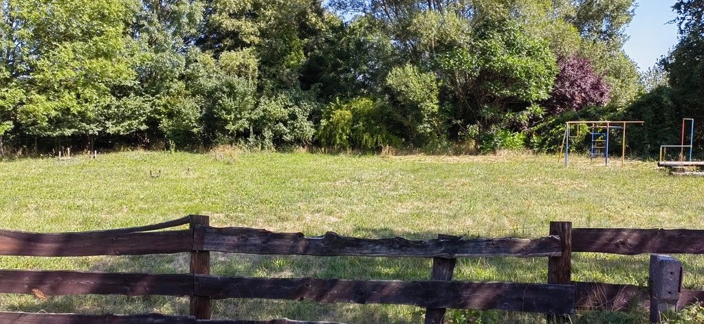 In campeggio tra lo Spreewald e il Seenland