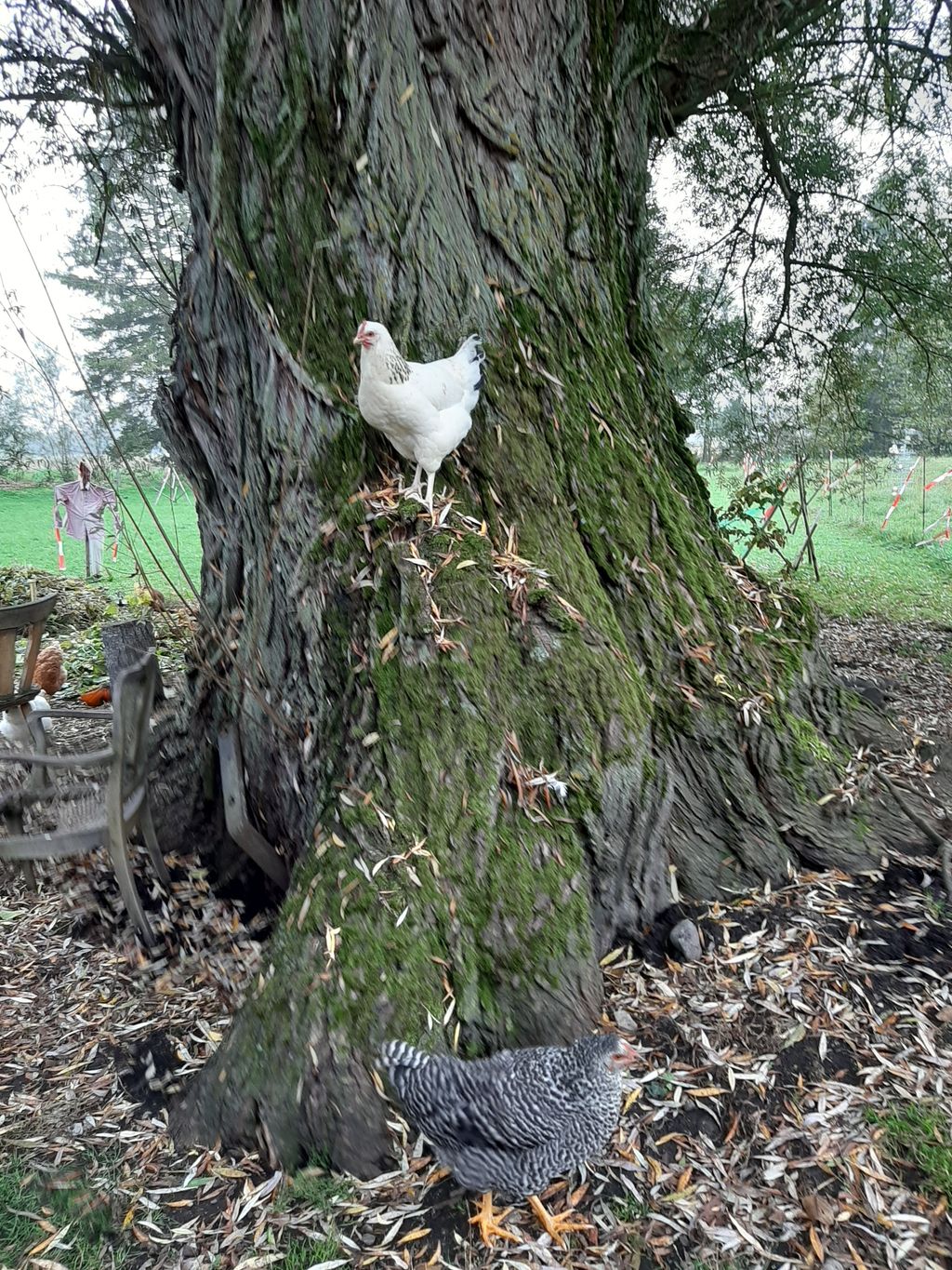 Camping auf unserem Bauernhof