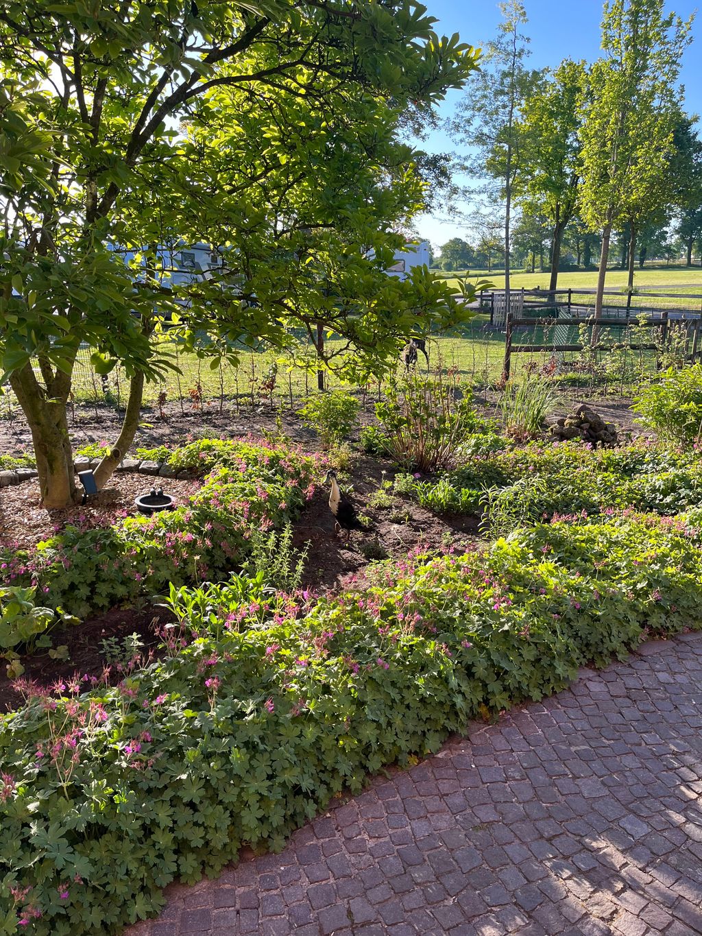 Camping à la ferme : service complet et à proximité d'Obelink