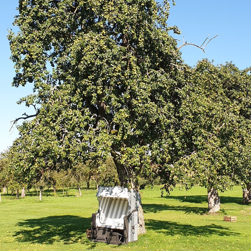 Acampar en una granja de vacaciones en el interior del Lago de Constanza