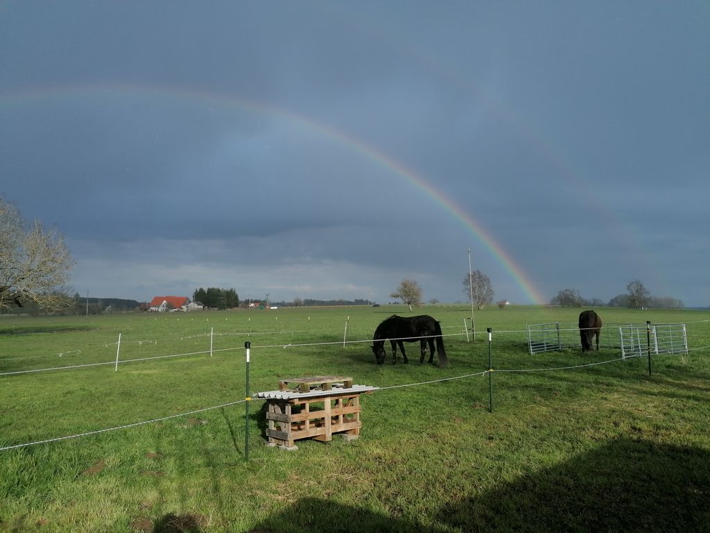 Celebrate festivals in the hinterland - space for all