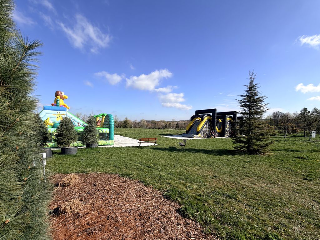 Oberlausitz-Stopp: Natur & Action am Mammutgarten