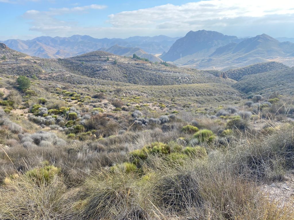 Casa vacanze Linde nella riserva ornitologica Finca Mejias