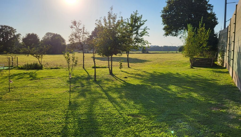 Feldblick in der Nähe der Nordsee