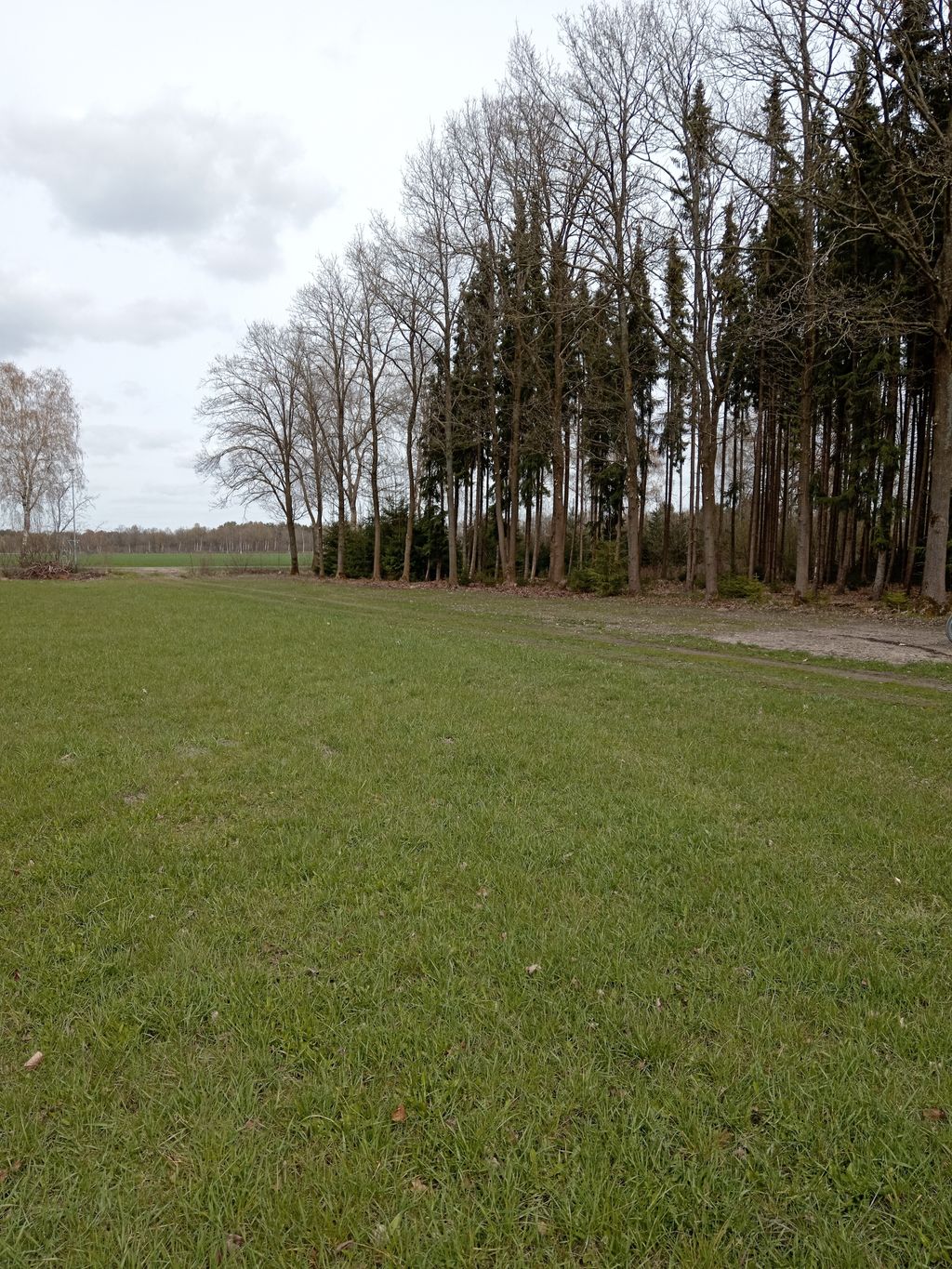 Wintermoor: An Idyllic Heathland Scene—The Heart of the Lüneburg Heath