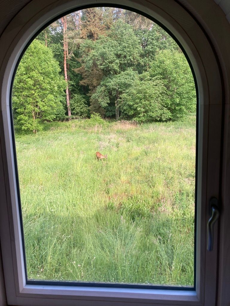 Iglucraft dans le parc naturel de Wendland, près de l'Elbe