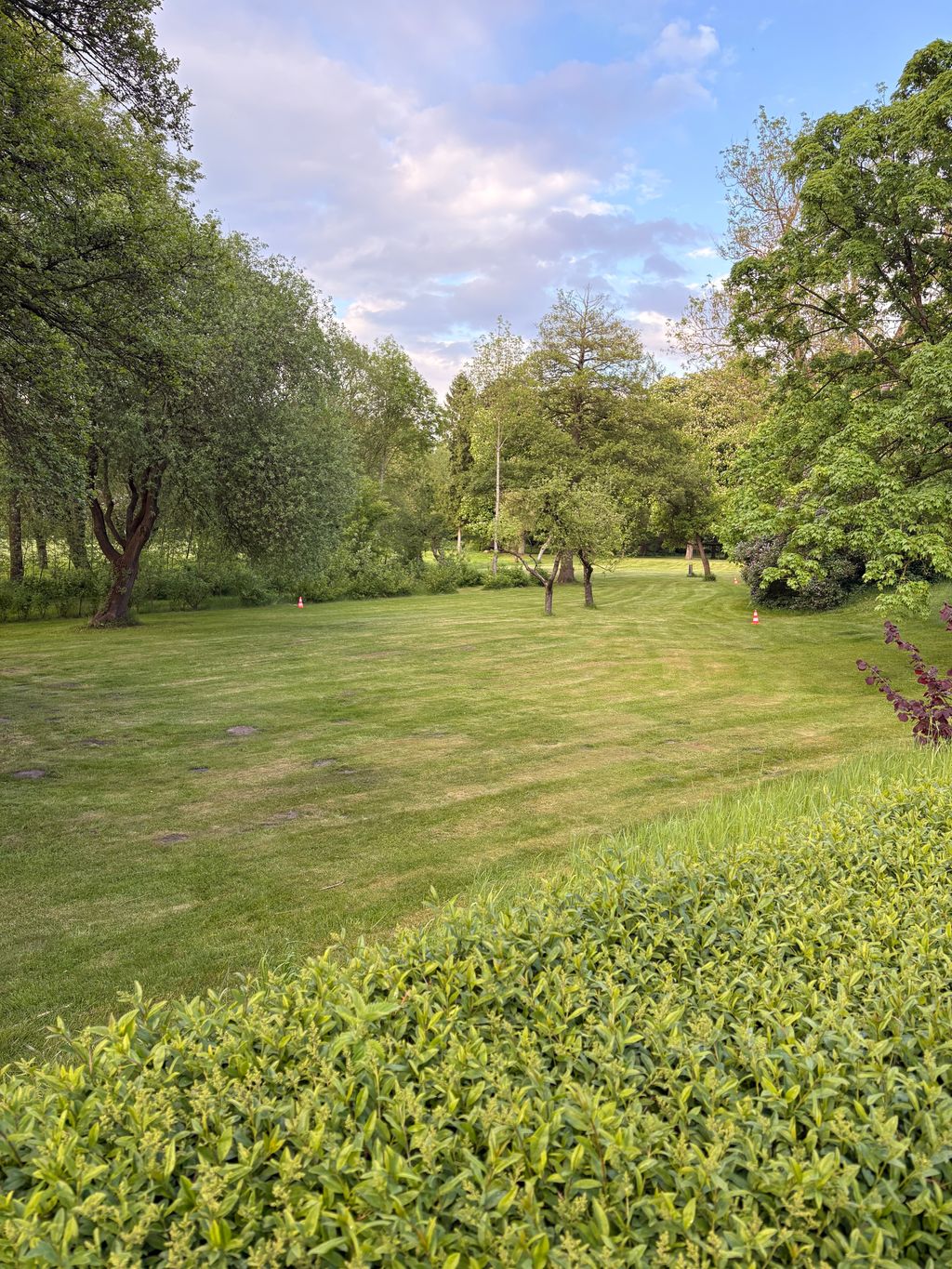 Giardino parrocchiale storico: una pausa nella Prignitz