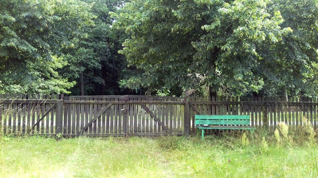Verwilderter Garten im Seenland Oder/Spree
