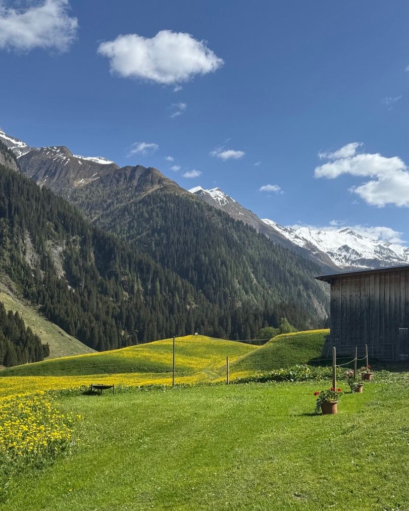Campamento cerca de la llanura de Greina