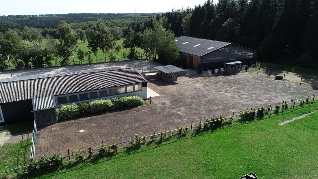 Camping dans un centre équestre au bord de la forêt