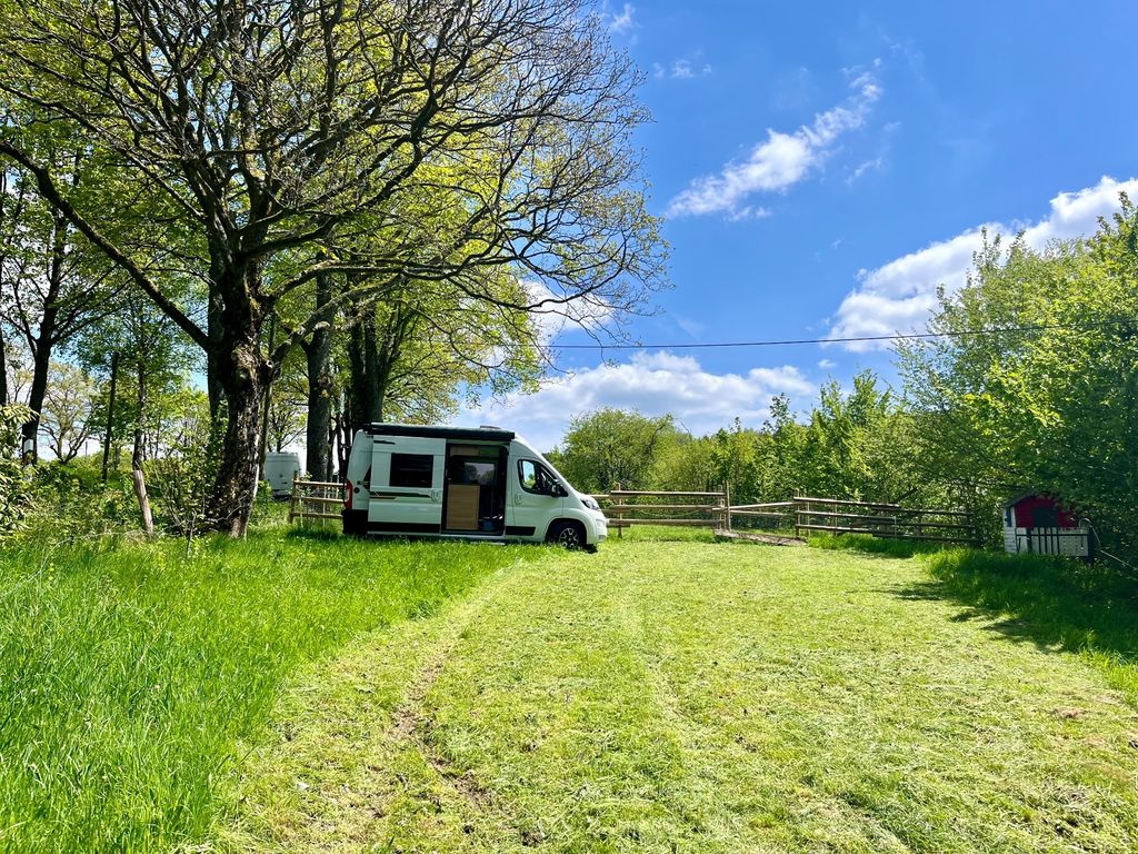 Disfrute plenamente del Sauerland