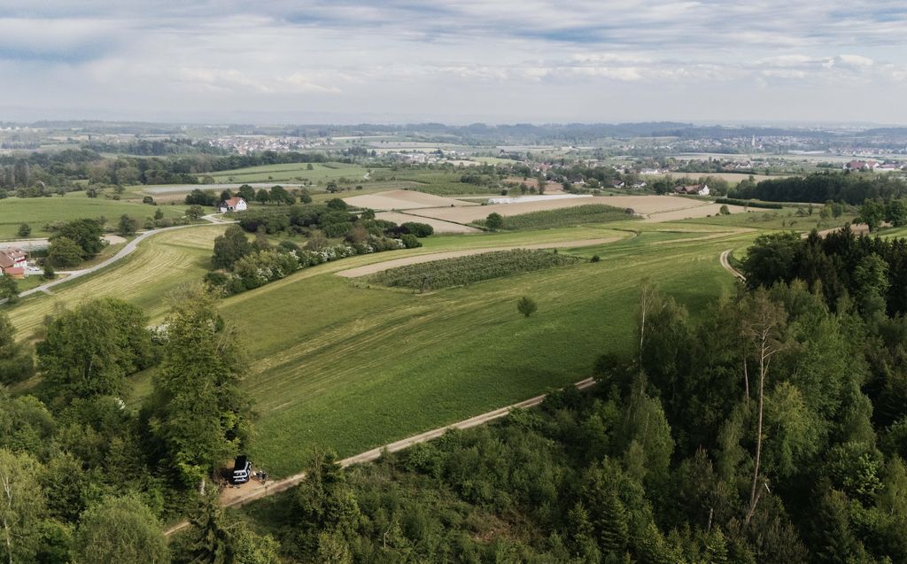 Alleinlage am Waldrand mit Bodensee-Blick