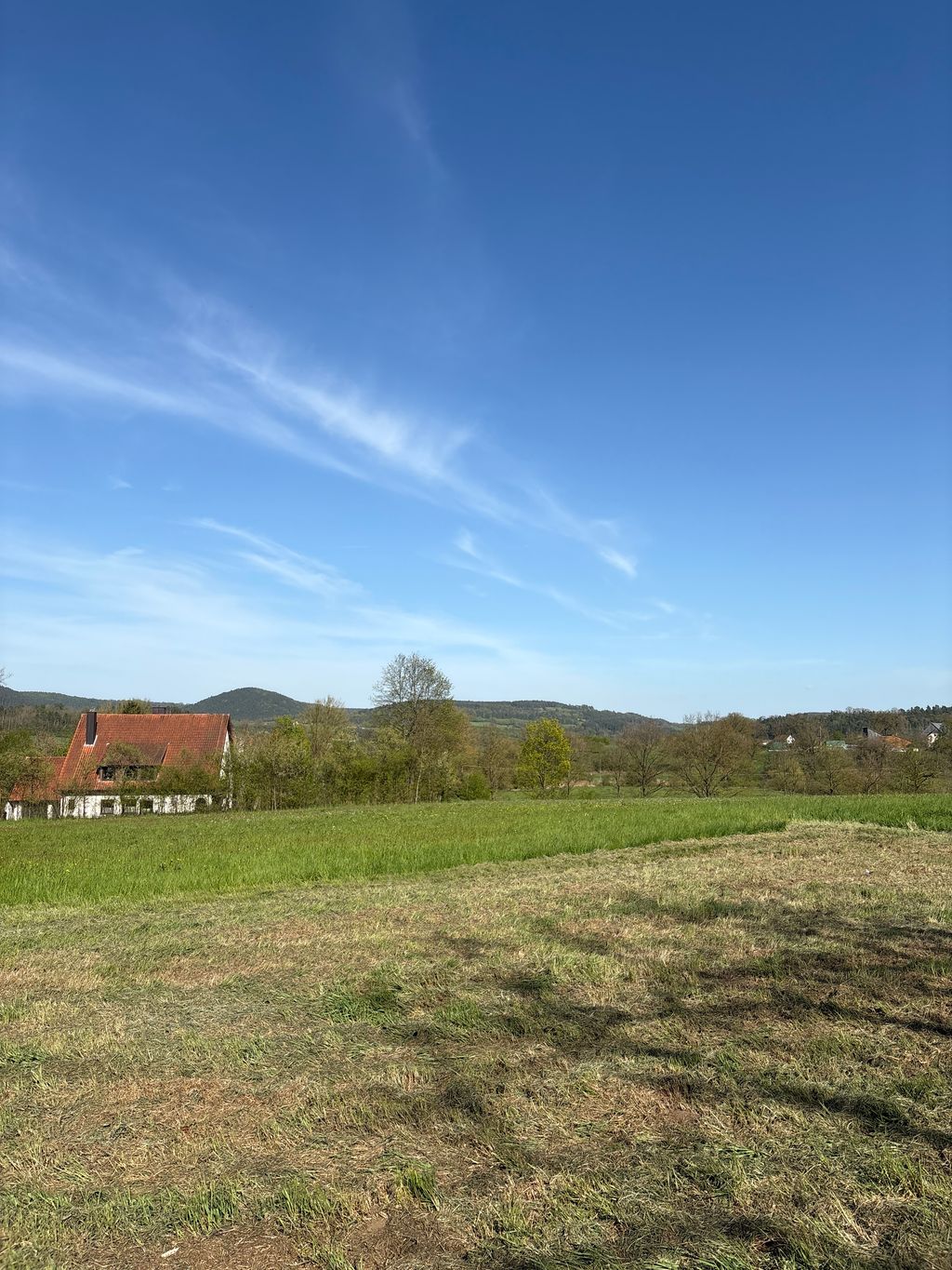 Une idylle près du noyer : une prairie bio pour les amoureux de la nature
