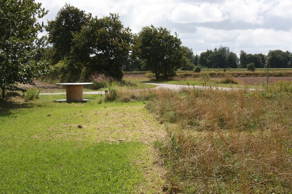 Prato a frutteto nella Frisia settentrionale