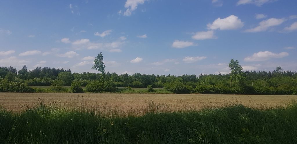 Emplacement en pleine nature dans une ferme isolée