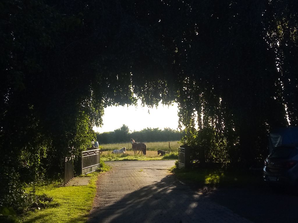 Camping auf der "Grünen Insel"