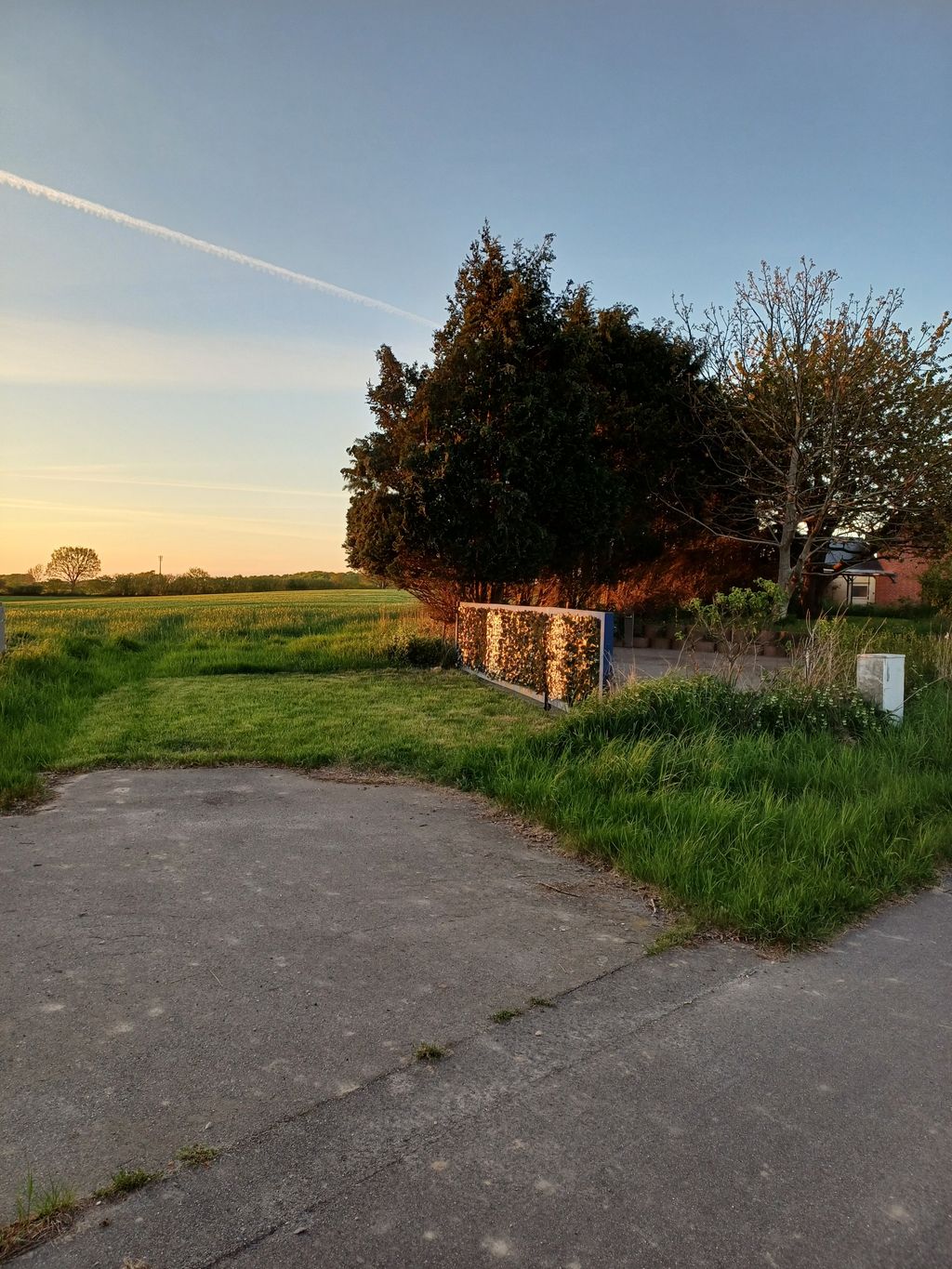 Naturnaher Stellplatz in der Nähe der Schlei