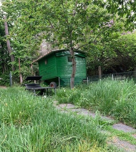 Small shepherd car in the garden surrounded by trees