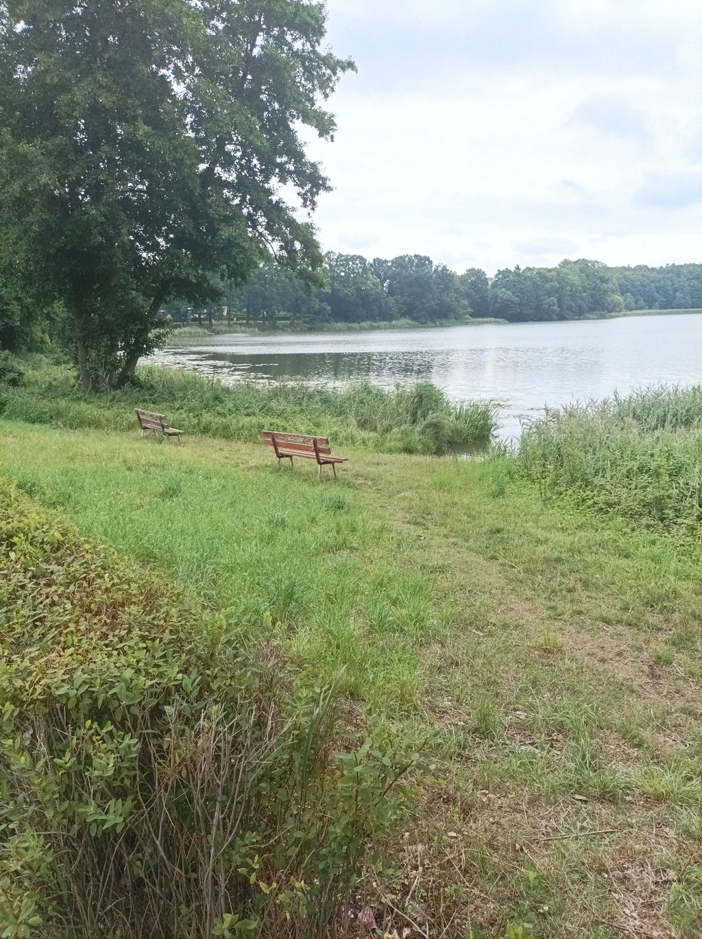 View of Schönlager Lake at the nature reserve