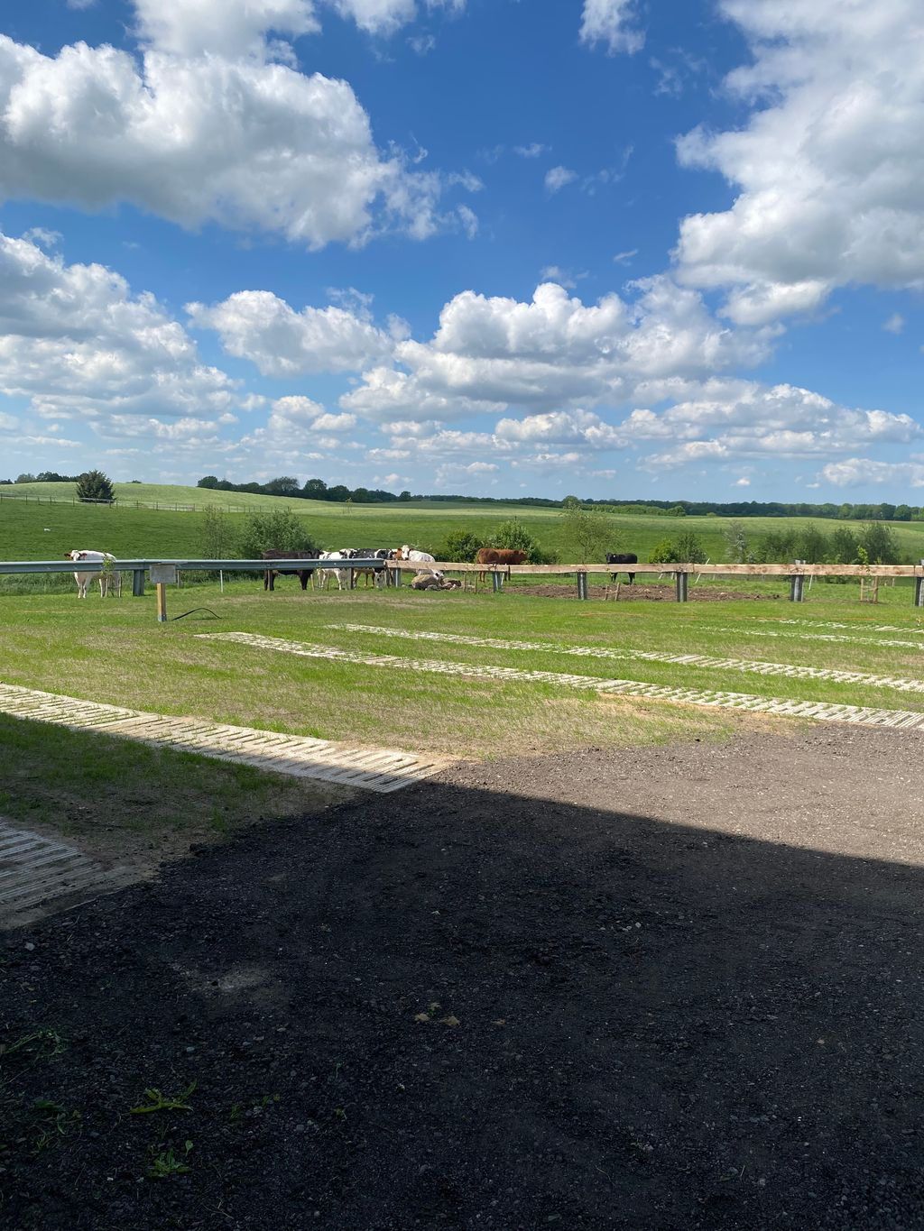 Pitch in the heart of Schleswig Holstein