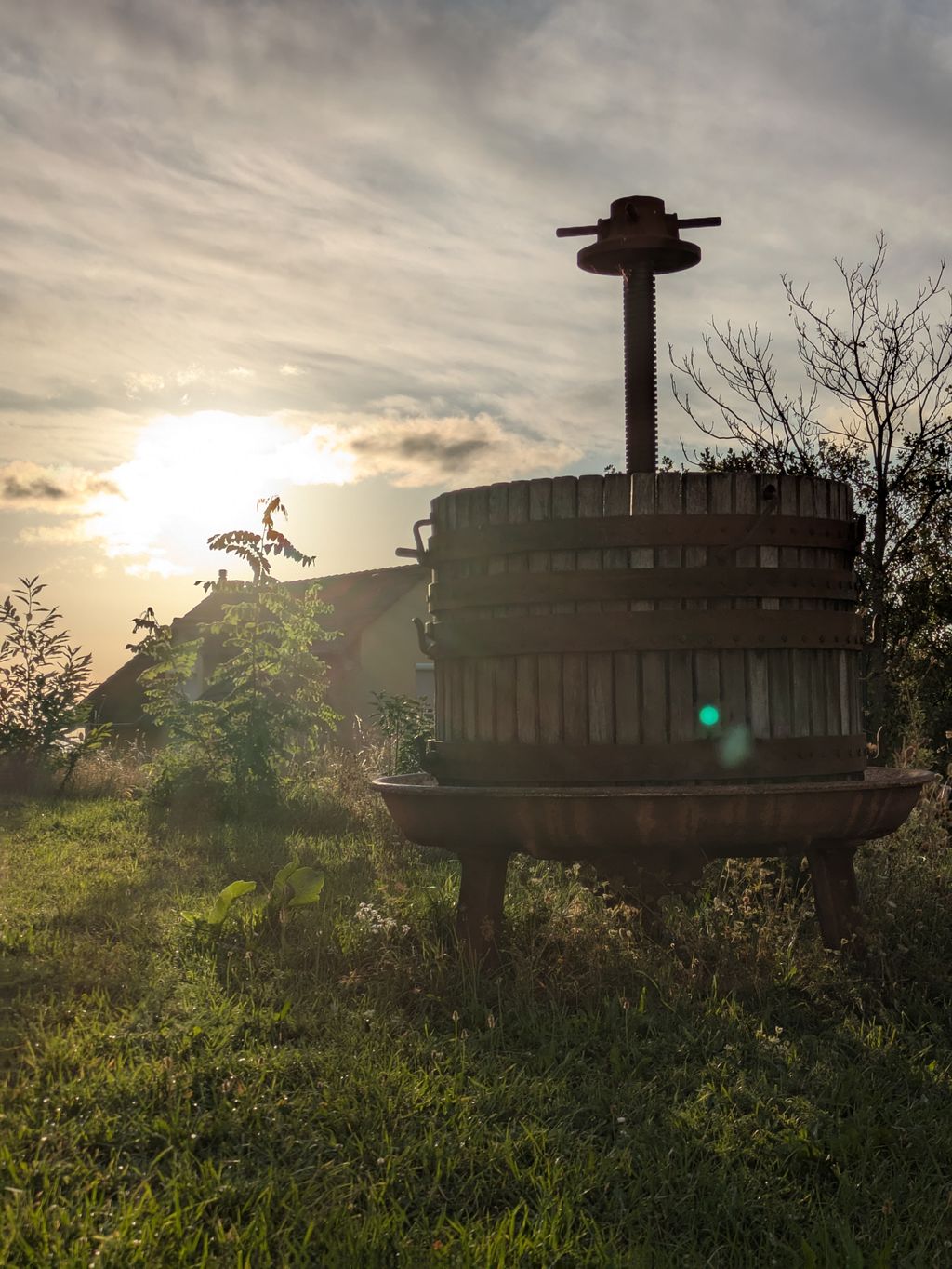 Quiet parking space on the southern wine route